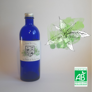 Eau Florale de Menthe poivrée