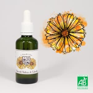 Macérât Huileux de Calendula