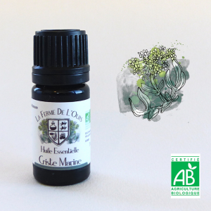 huile essentielle criste marine