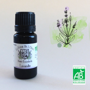 Huile Essentielle de Lavandin grosso