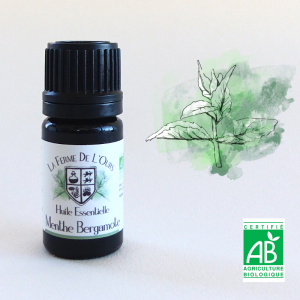 huile essentielle menthe bergamote