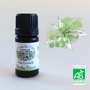 huile essentielle menthe poivrée
