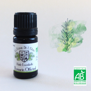 huile essentielle romarin officinale