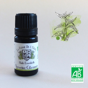 huile essentielle verveine citronnée