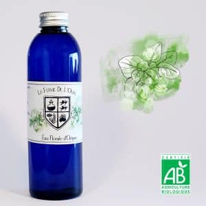 eau florale d'origan